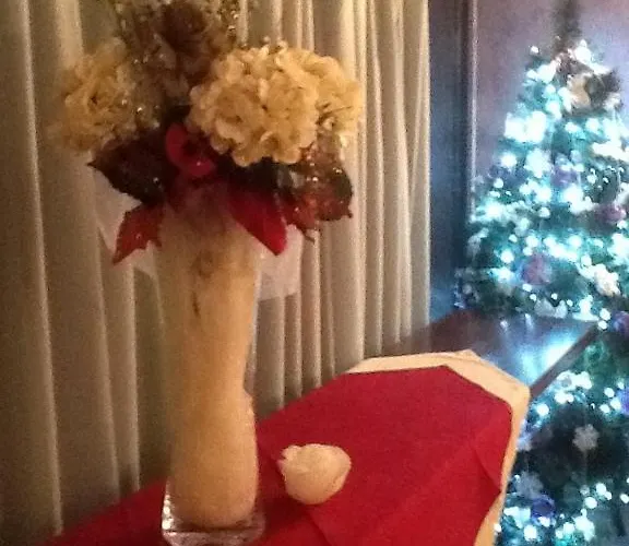 Elisa Bed and breakfast